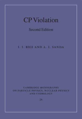 CP Violation