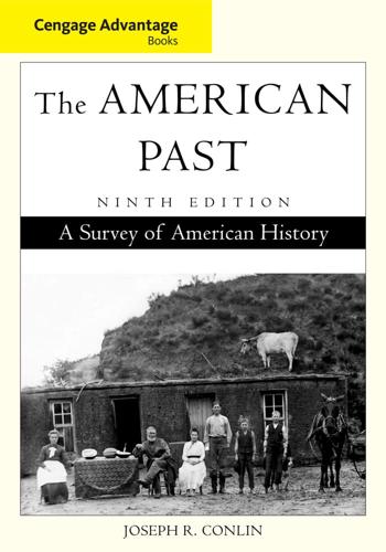 The American Past