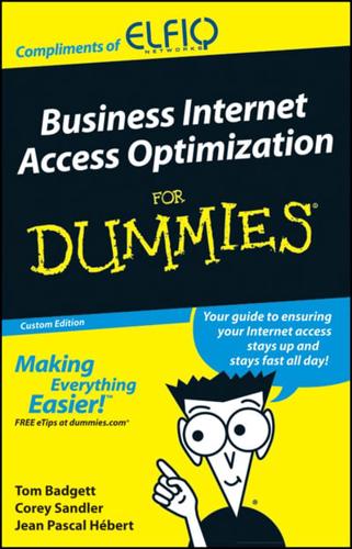 Business Internet Access Optimization for Dummies