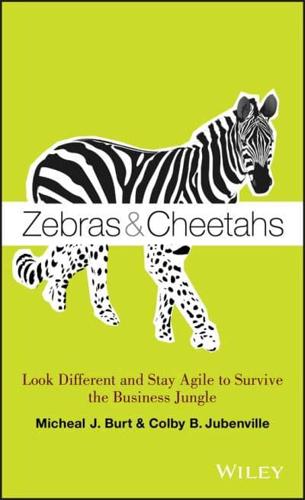 Zebras & Cheetahs