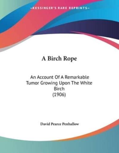 A Birch Rope
