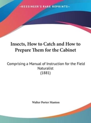 Insects, How to Catch and How to Prepare Them for the Cabinet