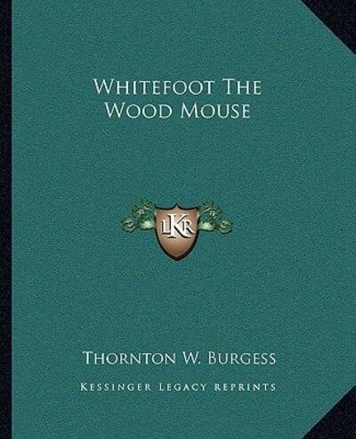 Whitefoot The Wood Mouse