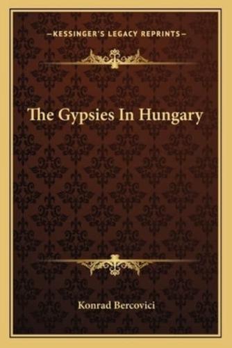 The Gypsies In Hungary