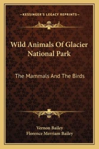 Wild Animals Of Glacier National Park