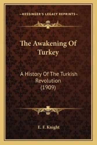 The Awakening Of Turkey