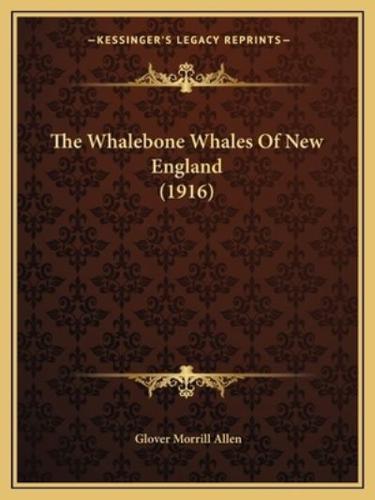 The Whalebone Whales Of New England (1916)