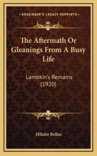 The Aftermath Or Gleanings From A Busy Life