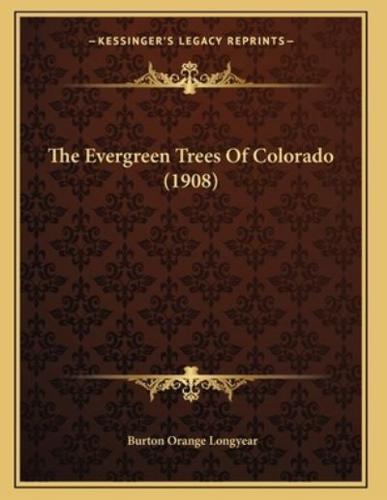 The Evergreen Trees Of Colorado (1908)