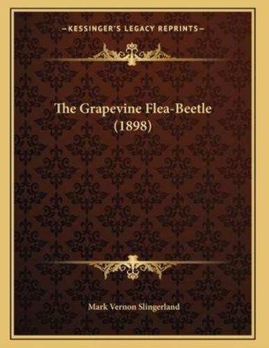 The Grapevine Flea-Beetle (1898)