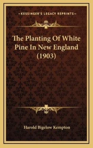 The Planting Of White Pine In New England (1903)