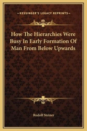 How The Hierarchies Were Busy In Early Formation Of Man From Below Upwards