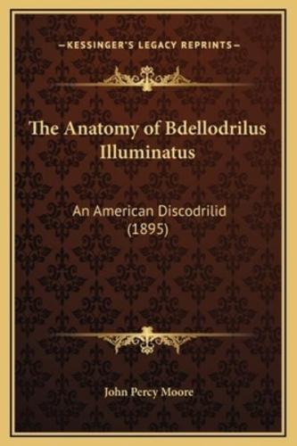 The Anatomy of Bdellodrilus Illuminatus