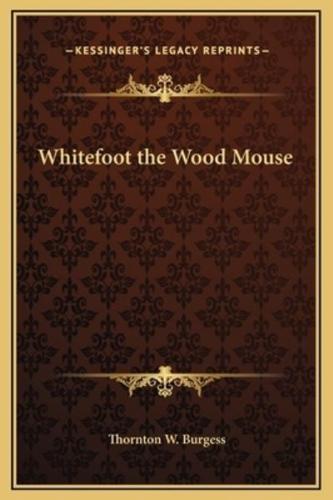 Whitefoot the Wood Mouse