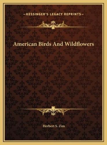 American Birds And Wildflowers