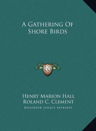 A Gathering Of Shore Birds