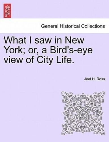 What I saw in New York; or, a Bird's-eye view of City Life.