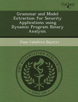 Grammar and Model Extraction for Security Applications Using Dynamic Progra