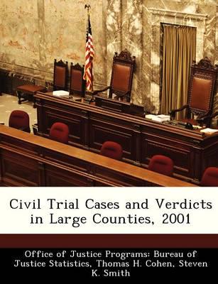 Civil Trial Cases and Verdicts in Large Counties, 2001