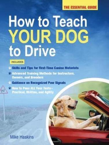 How to Teach Your Dog to Drive