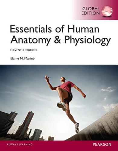 Essentials of Human Anatomy & Physiology