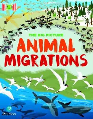Bug Club Reading Corner: Age 7-11: The Big Picture: Animal Migrations