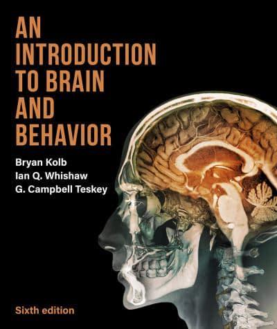 An Introduction to Brain and Behavior (International Edition)