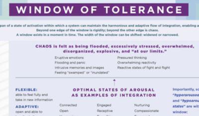 Window of Tolerance Laminated Card