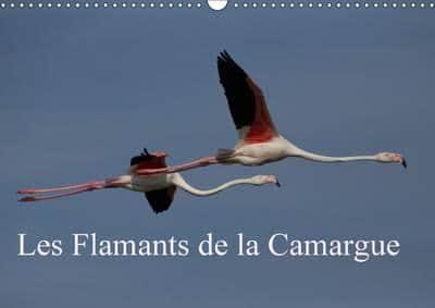 Flamants De La Camargue