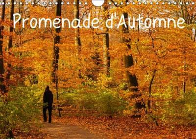 Promenade D'automne