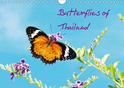 Butterflies of Thailand 2017