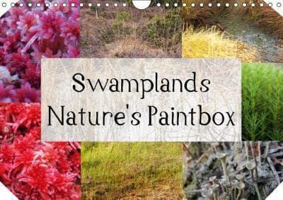 Swamplands Nature's Paintbox 2018
