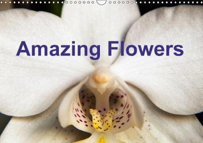 Amazing Flowers 2018