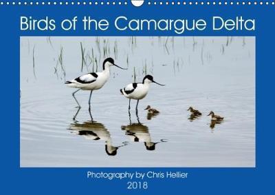 Birds of the Camargue Delta 2018