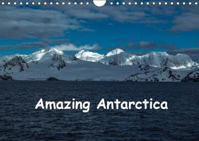 Amazing Antarctica 2019