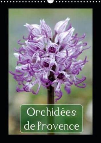 Orchidees De Provence 2019