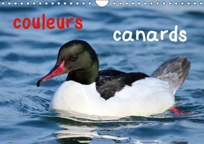 couleurs canards 2019