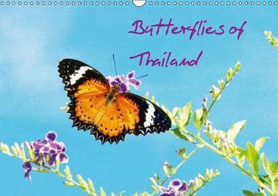 Butterflies of Thailand 2019