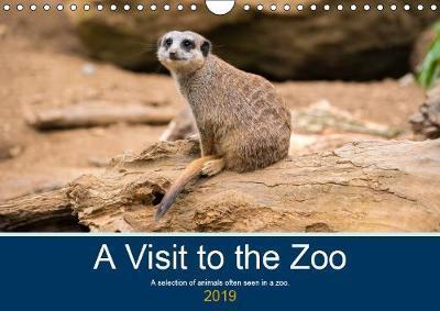 Visit to the Zoo 2019
