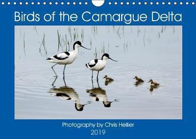 Birds of the Camargue Delta 2019