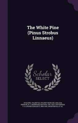 The White Pine (Pinus Strobus Linnaeus)