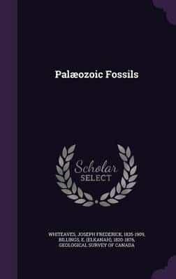 Palæozoic Fossils