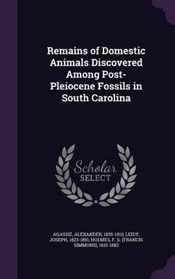 Remains of Domestic Animals Discovered Among Post-Pleiocene Fossils in South Carolina