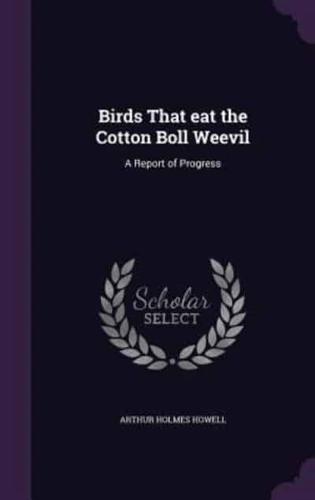 Birds That Eat the Cotton Boll Weevil
