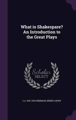 What Is Shakespare? An Introduction to the Great Plays