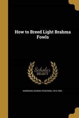 How to Breed Light Brahma Fowls