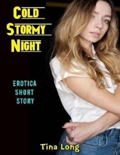 Cold Stormy Night: Erotica Short Story