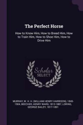 The Perfect Horse