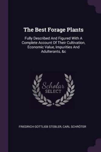 The Best Forage Plants