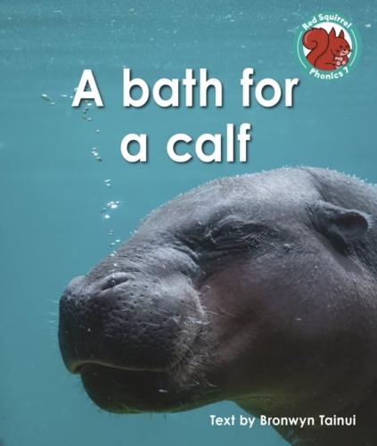 A Bath for a Calf